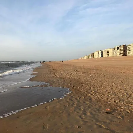 Lägenhet Les Petrels 401 In With Balcony Koksijde